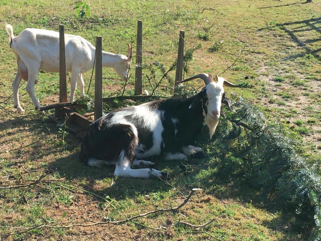 Les Sources Ferienhaus *