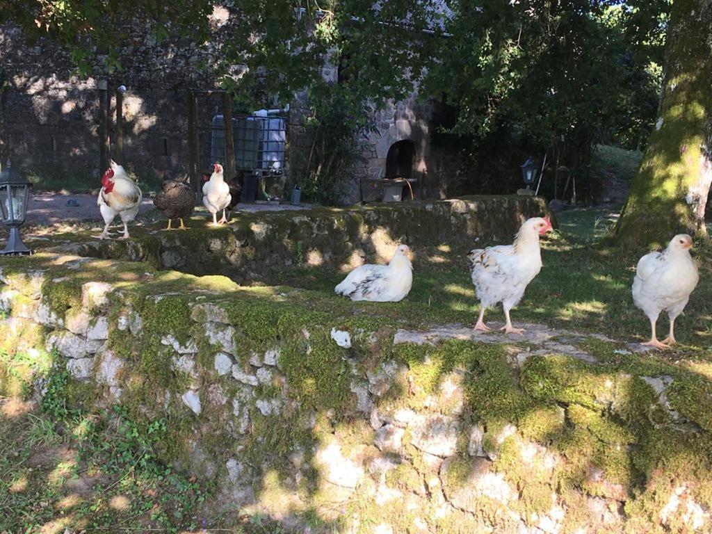 Les Sources Ferienhaus