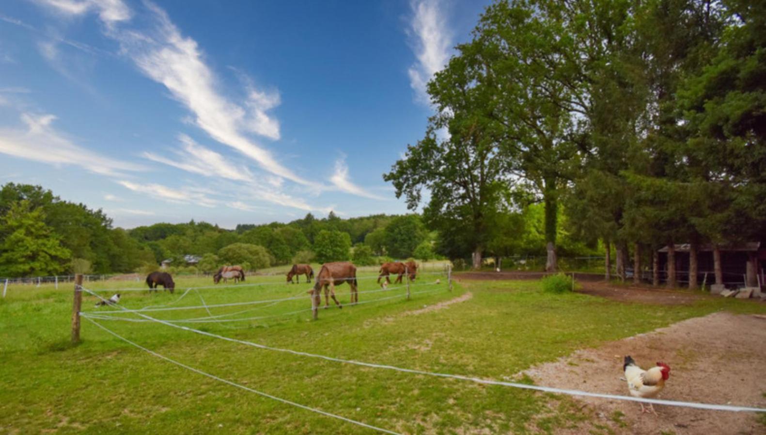 Ferienhaus Les Sources